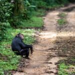 Wander the World with Inspiring Stories and Tips