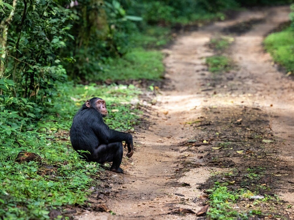 Wander the World with Inspiring Stories and Tips