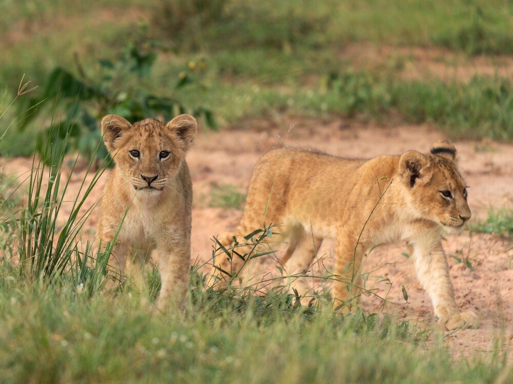 7 Days Queen Elizabeth, Lake Mburo & Lake Bunyonyi