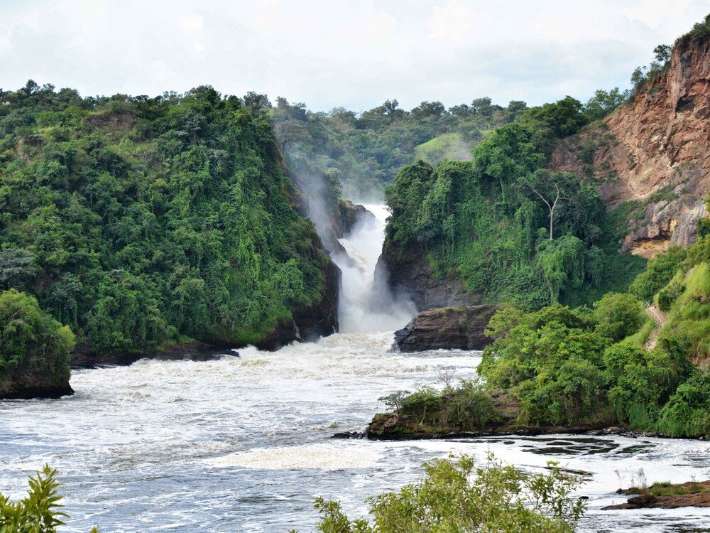 4 Days Gorilla Conservation & Batwa Forest Trail