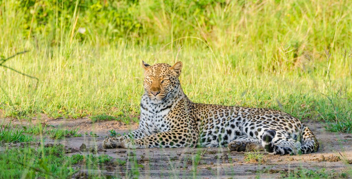 Queen Elizabeth National Park safari - view 1