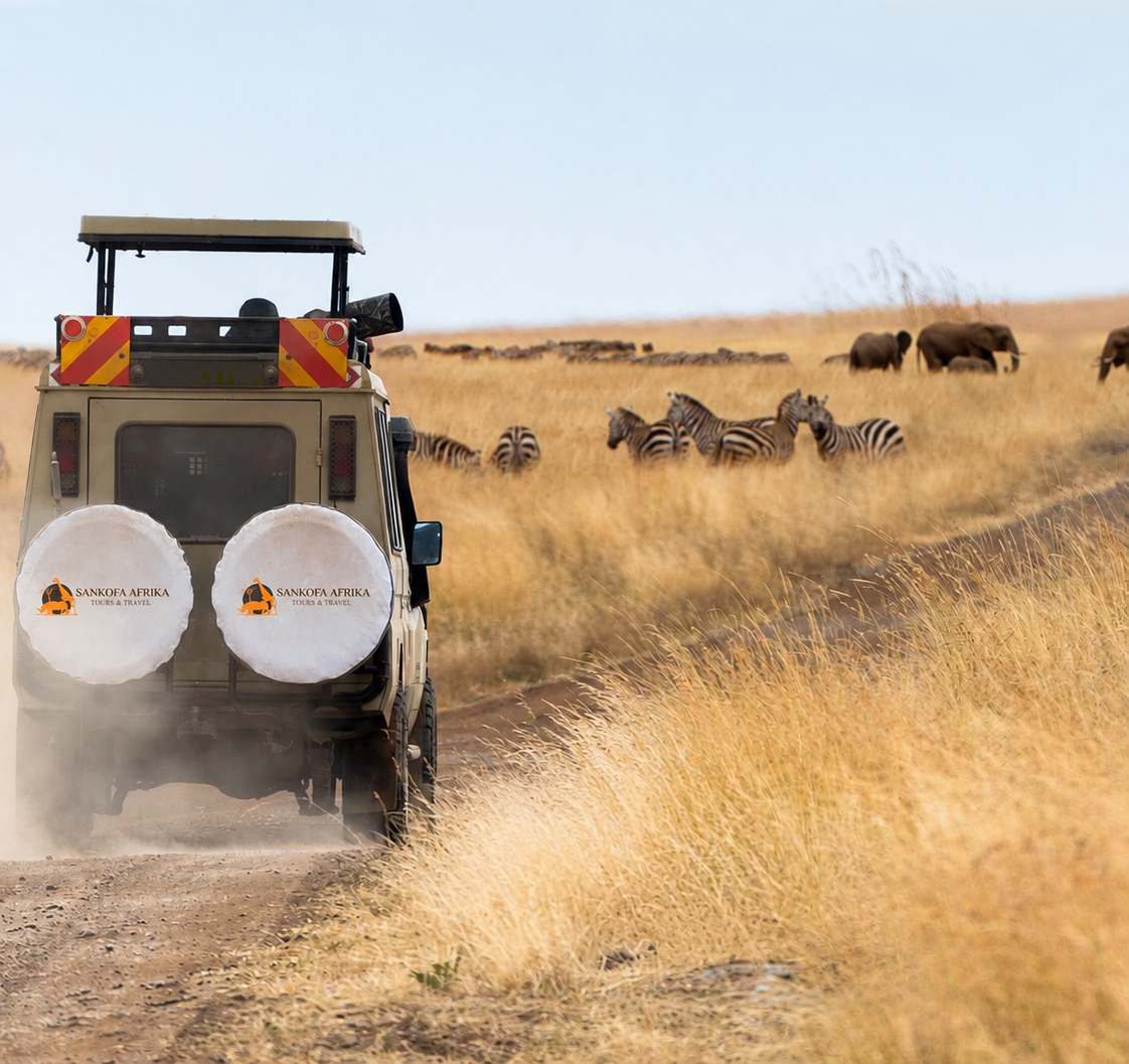 How to Choose the Right Safari Tour Operator